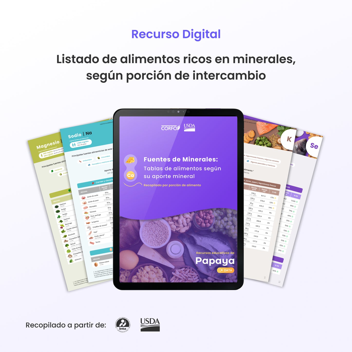 [PDF] Fuentes Minerales | Tablas de alimentos por porción 🥔🪨✨